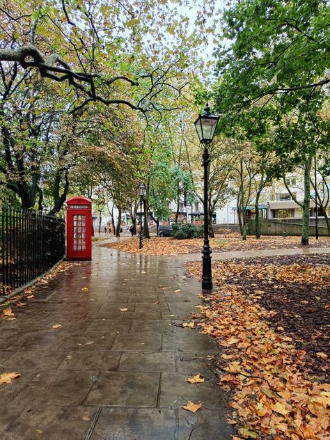 London In October Aesthetic, Fall In England Uk, London November Aesthetic, London In November Aesthetic, London In Autumn Aesthetic, Autumn In London Aesthetic, London Suburbs Aesthetic, Fall In London Aesthetic, British Autumn Aesthetic