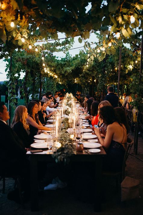 Trentadue Winery Wedding, Vineyard Wedding Venues, Lake Garda Wedding, Wine Country Wedding Venues, Winery Wedding Venues, Fiftieth Birthday, Fifty Birthday, Sonoma Wedding, California Garden