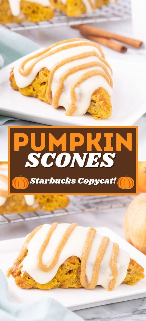 homemade starbucks pumpkin scones on a white plate Starbucks Pumpkin Scone Recipe, Copycat Starbucks Pumpkin Scones, Best Pumpkin Scones, Maple Pumpkin Scones, Easy Pumpkin Scones Recipe, Vanilla Scones Starbucks, Buttermilk Pumpkin Scones, Easy Pumpkin Scones, 1 Cup Pumpkin Recipes