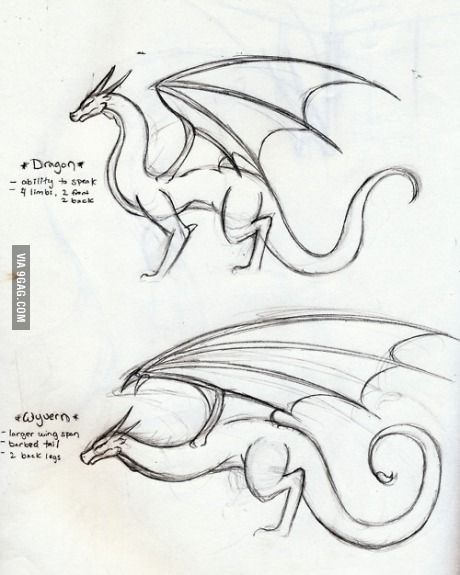 Dragon and Wyvern. Know the difference Drawing Dragon, Some Drawings, Dragon Sketch, Creature Drawings, Dragon Artwork, Dragon Drawing, 판타지 아트, A Dragon, Realistic Drawings