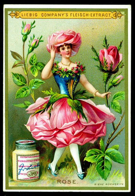 https://flic.kr/p/7ntEY3 | Liebig S268 - Flower Girls 1890 - Rose | German issue 1890 Rose Fairy, Rose Girl, Flower Fairies, Flower Fairy, Vintage Ephemera, Pics Art, Unique Items, Vintage Cards, Vintage Postcards