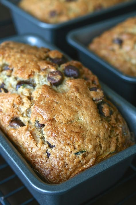 Mini Zucchini Bread Loaves, Mini Loaf Zucchini Bread, Mini Zucchini Lasagna In A Loaf Pan, Small Loaf Zucchini Bread, Mini Loaf Zucchini Bread Recipe, Zucchini Loaves, Chocolate Chip Mini Loaves, Zucchini Mini Loaves, Mini Chocolate Chip Zucchini Muffins