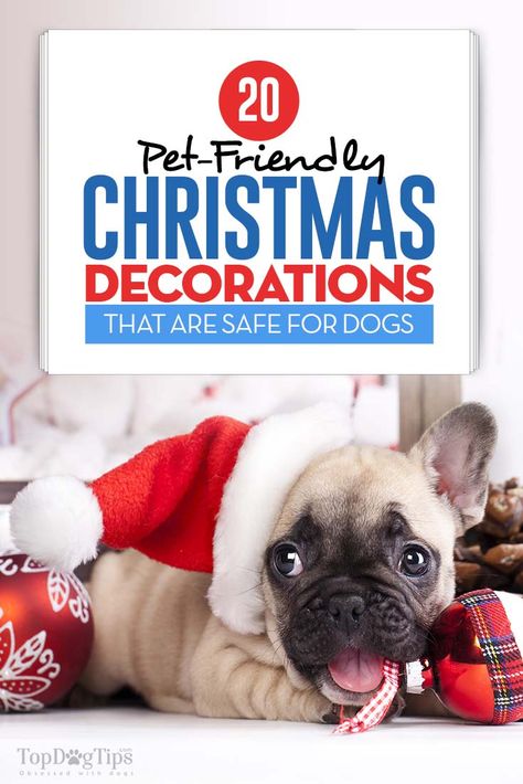 Dog Friendly Christmas Decorations, Banister Christmas Decorations, Dog Decorations, Dog Christmas Pictures, Christmas Pets, Puppy Proofing, Christmas Window Decorations, Dog Tips, Dog Ideas