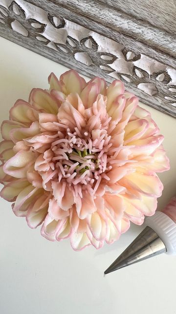 Have A Great Saturday, Cake Decorating Flowers, Frosting Flowers, Sheet Cake Designs, Piping Flowers, Cupcake Decorating Tips, Cupcake Tutorial, Cake Decorating For Beginners, Buttercream Flower Cake