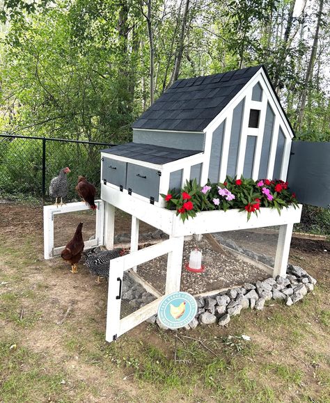 Small Chicken Coop Plans, Small Chicken Coop, A Frame Chicken Coop, Coop Run, Quail Coop, Backyard Chicken Coop, Backyard Coop, Small Chicken Coops, Easy Chicken Coop