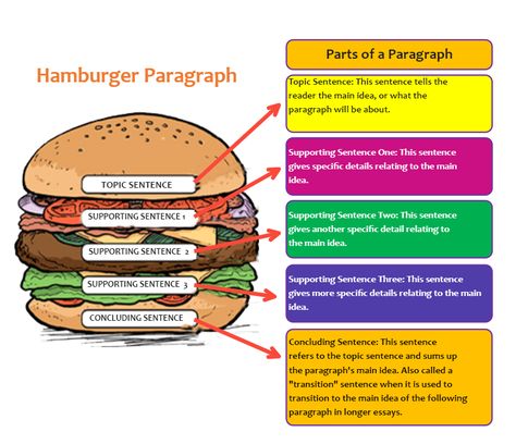 Hamburger Style Paragraph Steps For Writing A Paragraph, Hamburger Method For Writing, Burger Paragraph Writing, Hamburger Paragraph Writing Free, Hamburger Writing Template Free, How To Write A Paragraph Step By Step, Hamburger Graphic Organizer, How To Write An Essay, Hamburger Writing Template