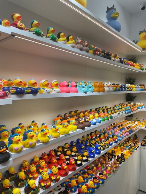 Rubber Duck Collection, Silly Widgets, Duck Items, Duck Things, Duck Collection, Duck Wallpaper, Rubber Duckies, Rubber Ducks, Blonde Hair Inspiration