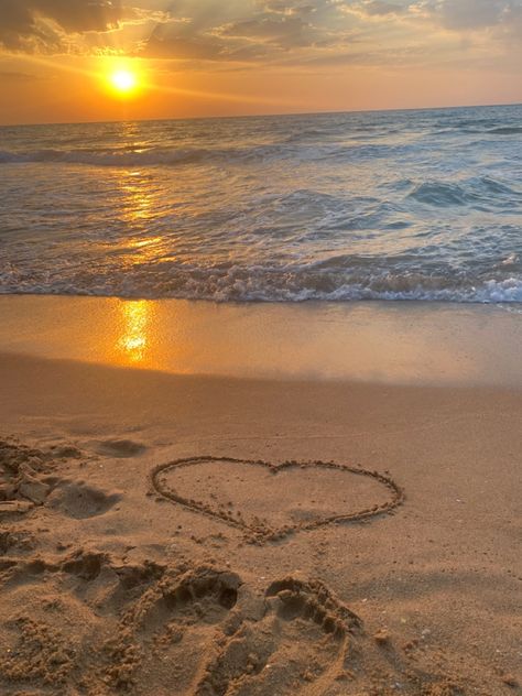 #sunrise #beach Morning Sunrise Aesthetic, Sunrise On The Beach, Memories Aesthetic, Good Morning Love Gif, Poipu Beach, Ocean Aesthetic, Beach Sunrise, Summer 2025, Morning Sunrise