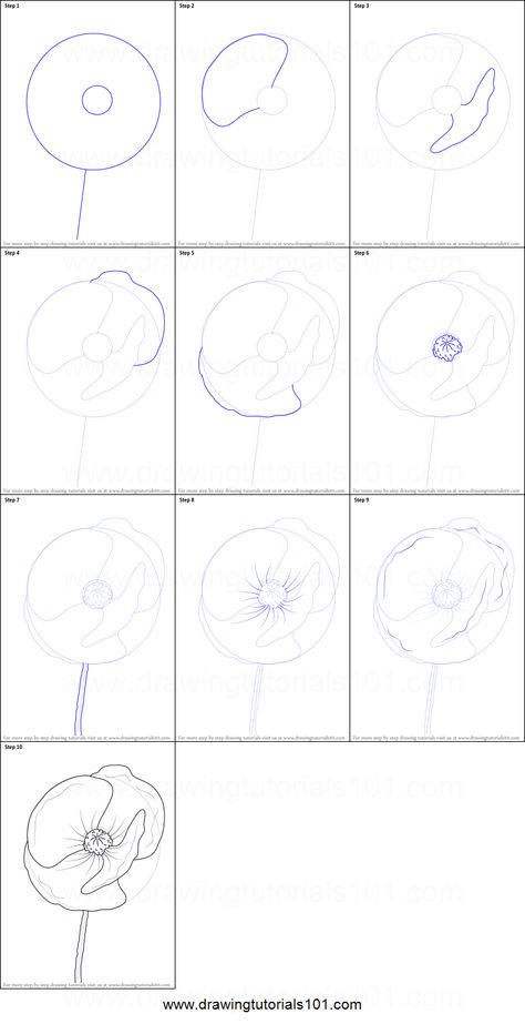 How to Draw Poppy Flower Printable Drawing Sheet by DrawingTutorials101.com Poppy Flower Drawing Step By Step, How To Paint Poppy Flowers, How To Draw A Poppy Flower Step By Step, How To Draw A Poppy, How To Paint Poppies, Draw Poppy Flower, Poppy Line Drawing, Drawing Poppies, Poppy Flower Drawing