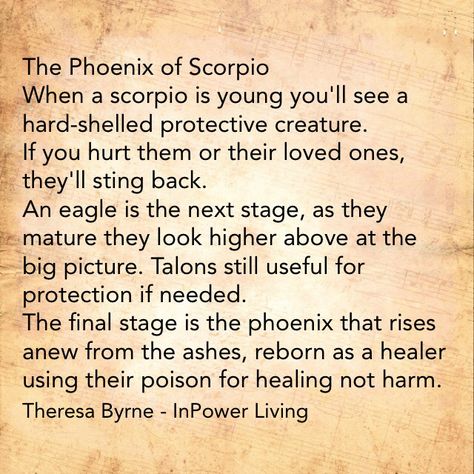 Scorpio becomes the Phoenix when they decide to step forward on The Path. They choose to help others. They become healers. Phoenix Scorpio, Scorpio Rebirth, Scorpio Spirituality, Scorpio Phoenix Quotes, Scorpio Beauty, Scorpion Spirit Animal, Scorpio Pictures, Phoenix Quotes, Spiritual Fulfillment