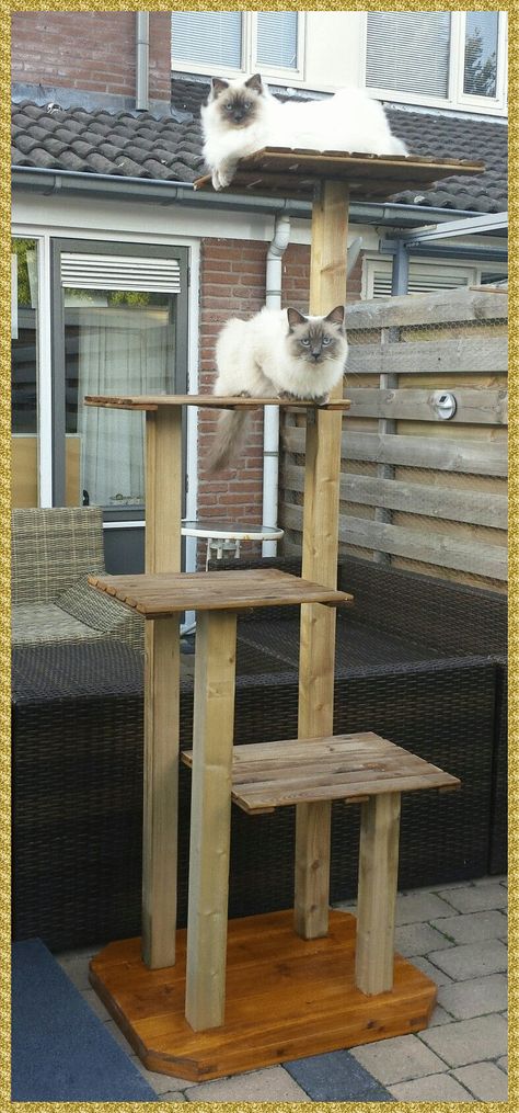 Diy Tree Cat Tower, Cat Tree Tower, Build Cat Tree, Diy Outdoor Cat Tree, Cat Tree Diy Plans, Diy Cat Tower Plans, Cat Tree Homemade, Diy Cat Tree Homemade, Cat Towers Diy Homemade