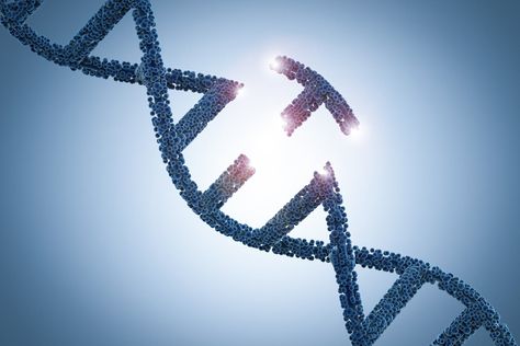 Why 2020 Should Be the Biggest Year Yet for CRISPR Gene-Editing Stocks | The Motley Fool  ||  More pipeline activity than ever before could usher in a big boom for CRISPR gene-editing stocks next year. https://www.fool.com/investing/2019/12/22/why-2020-should-be-the-biggest-year-yet-for-crispr.aspx Mthfr Gene Mutation, Mthfr Gene, Genetic Diseases, Gene Therapy, Adrenal Fatigue, Dna Test, Biotechnology, Life Science, Evolution