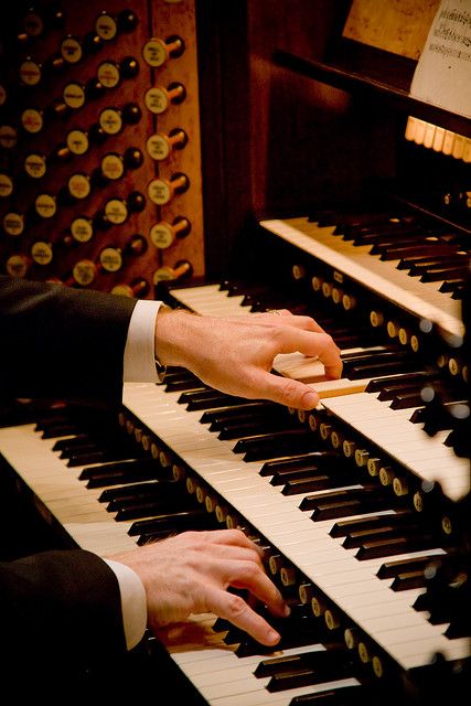 Davis Wortman playing the Schoenstein Organ, St. James' Church, New York City.  Photo by Dean Meyers Harpsichord Aesthetic, Organ Aesthetic, Playing The Organ, Alive Song, Pipe Organ Aesthetic, Organ Instrument Aesthetic, Organ Instrument, Organ Musical Instrument, William Lewis