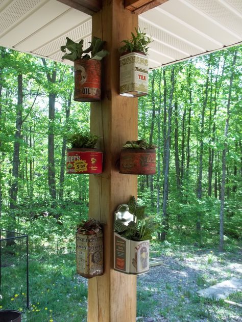 Here's a variation of the rusty can planters. One can is from Granny's basement, two were dug out from Great-Gramp's old junk pile, one was unearthed here at Greene Acres, one is from my great aunt, and one was 50 cents at a thrift store. All of the plants were cheapies from Wally World. Tin Planters, Garden Decor Projects, Diy Backyard Landscaping, Garden Yard Ideas, Diy Garden Projects, Rustic Garden Decor, Décor Diy, Garden Cottage, Vintage Garden