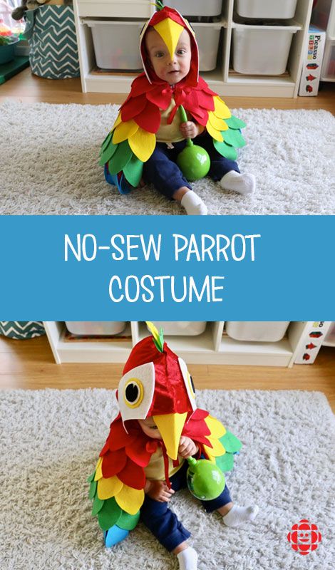 Easy No-Sew DIY Parrot Costume | Play | CBC Parents How To Make A Parrot Costume, Diy Baby Parrot Costume, Parrot Costume Diy, Diy Parrot Costume, Baby Parrot Costume, Diy Pirate Costume For Kids, Homemade Pirate Costumes, Diy Parrot, Diy Costumes Kids Boys