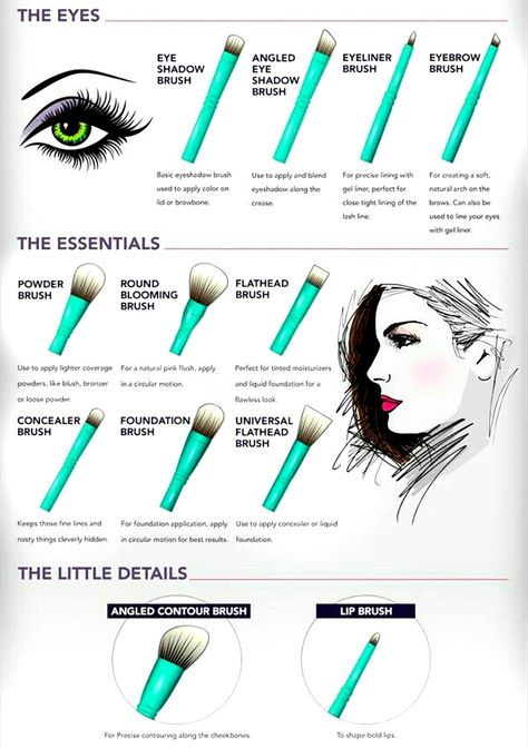 Makeup Learning, Brush Guide, Cheap Makeup Brushes, Makeup Brushes Guide, Make Up Tools, Cheap Makeup, Makeup Guide, Learning Techniques, Makeup Tips For Beginners