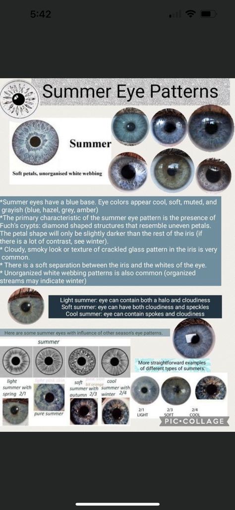 Color Season Eye Pattern, Light Blue Eyes With Dark Ring, Iris Patterns Eye, Summer Eye Color Analysis, Color Analysis Eye Pattern, Eye Color Season Analysis, Greyish Blue Eyes, Eye Pattern Color Analysis, Summer Skin Tone