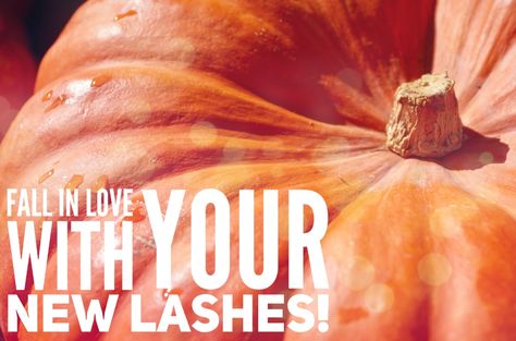 Fall Lash Extensions, Eyelash Studio Ideas, Eyelash Extensions Ideas, Lash Extensions Ideas, Lash Marketing, November Instagram, Lash Post, Lash Posts, Amazing Lash Studio