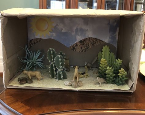 Desert biome project Biome Project Ideas, Diaroma Ideas, Shoe Box Diorama, Biome Project, Savanna Biome, Desert Crafts, Biomes Project, Earth Science Projects, Desert Diorama