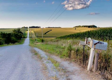 Iowa Landscape, Iowa Farms, Americana Aesthetic, Farm Photography, Sea To Shining Sea, Iowa State, Landscape Pictures, Slice Of Life, Landscape Prints