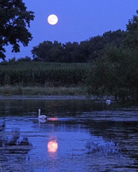 .goodnight moon Moon Rise Aesthetic, Goodnight Moon Aesthetic, Rises The Moon Aesthetic, Night Sky Moon, Goodnight Moon, Moon Clouds, Look At The Moon, Moon Rising, View Wallpaper