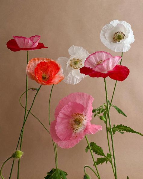 Poppies Flower Bouquet, Poppy Flower Bouquet, Design Garden Ideas, Icelandic Poppies, Poppy Bouquet, Paper Flower Art, Aesthetic Garden, Easy Landscaping, Garden Aesthetic