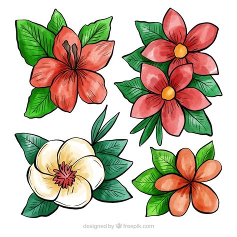 Tropical Flowers Drawing, Cute Flower Clipart, Botanical Drawing, Watercolor Spring, Stage Decoration, Flower Plants, Flower Collection, Cartoon Flowers, Floral Drawing