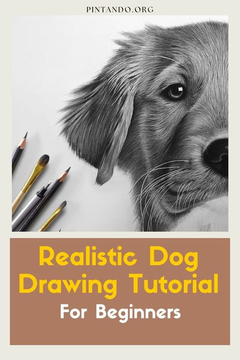 In this step-by-step video tutorial, we will guide you through the process of drawing a realistic dog, perfect for aspiring artists and beginners alike. From the wagging tail to the soulful eyes, capturing the essence of a canine companion on paper may seem daunting at first, but fear not! Our talented art instructor will walk you through every stroke, sharing invaluable tips and techniques that will make the process enjoyable and rewarding... Realistic Dog Drawing, Dog Portrait Drawing, Dog Drawing Tutorial, Realistic Animal Drawings, Beginner Drawing Lessons, Dog Portraits Art, Pencil Drawings Of Animals, Acrylic Art Projects, Drawing Tutorials For Beginners