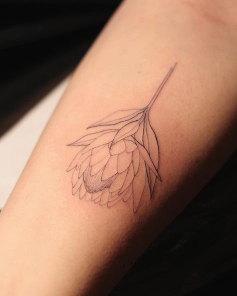 Fine Line Protea Tattoo, King Protea Tattoo, Protea Flower Tattoo, Protea Tattoo, Berlin Tattoo, Tattoo Time, Chic Tattoo, Single Line Tattoo, King Protea