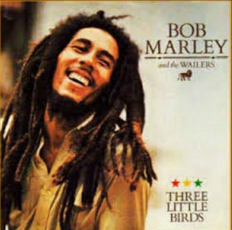 Bob Marley Album Covers, Bob Marley Music, Robert Nesta, Nesta Marley, Reggae Style, Bob Marley Quotes, The Wailers, Record Sleeves, Band Posters