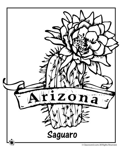 Arizona State Flower Coloring Page | Woo! Jr. Kids Activities Arizona State Flower, Arizona Flower, Arizona Plants, State Flowers, Page Az, Cactus Drawing, Page Arizona, Flowers Coloring, State Symbols