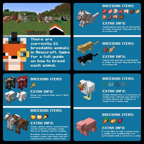 Minecraft Breeding Animals, Minecraft Horse Breeding Chart, Minecraft Wolf Variants, Minecraft Beginner Tips, Minecraft Tips And Tricks Survival, Minecraft Infographic, Minecraft Zoo Exhibits, Animal Pens Minecraft, Minecraft Knowledge