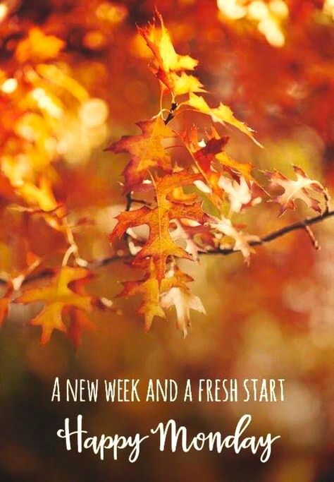 October Monday Quotes, Fall Monday Morning Quotes, Monday Fall Quotes, Halloween Monday Quotes, Happy Monday Fall Images, Happy Monday Fall, Monday Morning Images, Goodnight Quotes For Friends, Encouragement Box