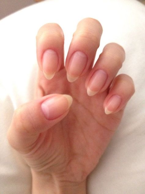 Almond Nails Natural, Natural Stiletto Nails, Natural Almond Nails, Short Almond Shaped Nails, Natural Nail Shapes, Almond Shaped Nails Designs, Natural Manicure, Short Almond Nails, Almond Shape Nails