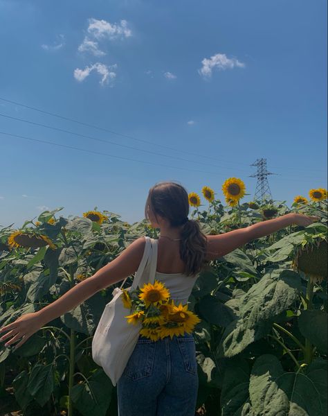 Sunflower Ideas Photo, Sunflower Farm Photoshoot Outfits, Sunflower Pics Photo Ideas, Sunflower Picture Ideas, Sunflower Instagram Pictures, Sunflower Fields Photoshoot, Sunflower Feild Pics, Sunflower Photo Ideas, Sunflower Field Outfit Ideas