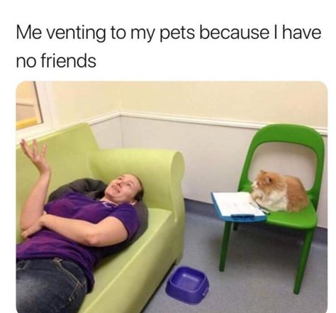 30 Relatable Memes For When You Just Need A Damn Break - Memebase - Funny Memes Humor Animal, No Friends, Memes Humor, Funny Cat Pictures, Cane Corso, I Have No Friends, Dog Show, What’s Going On, Friends Funny