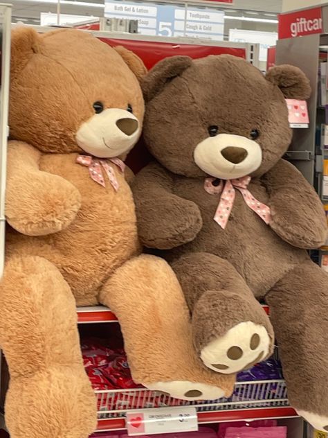 Big Bear Stuffed Animals, Valentines Teddy Bears Aesthetic, Giant Stuffed Bear, Giant Teddy Bear Aesthetic, Big Plushies Aesthetic, Big Teddy Bear Aesthetic, Big Stuffed Bear, Giant Plushies, Big Stuffed Animals