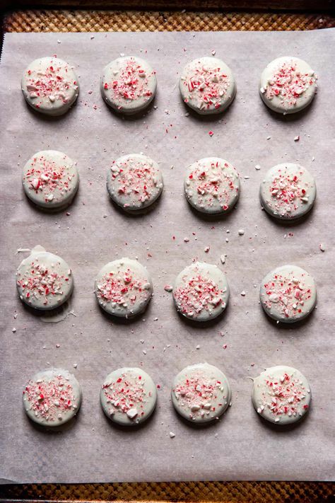 These peppermint bark Oreos are the perfect Christmas treat. Oreo cookies dipped in white chocolate with bits of candy cane pieces on top. This will be a family favorite holiday confection, they are delicious! Dipped Oreos Christmas, Cookies Dipped In White Chocolate, Peppermint Oreos, Peppermint Bark Cookie, White Chocolate Oreos, Oreo Cookies Dipped, Chocolate Dipped Treats, Chocolate Wafer Cookies, White Chocolate Candy