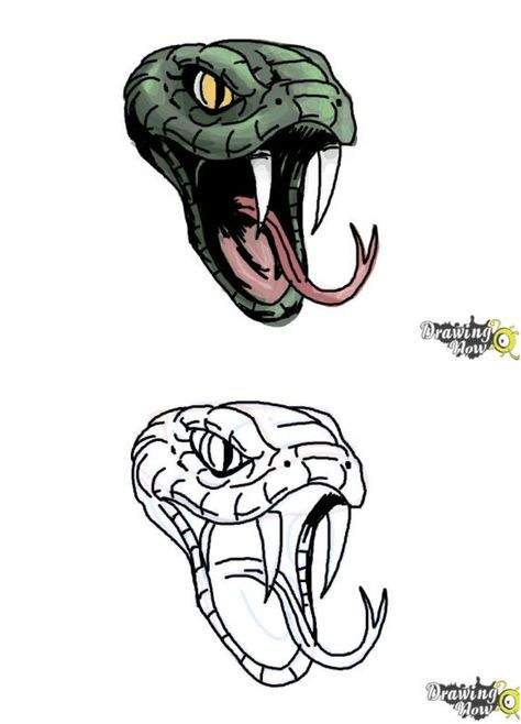 Cool Snake Head Drawing Snake Front View Drawing, Snake Mouth Drawing, Snake Face Drawing, Snake Head Reference, Snake Eyes Drawing, Easy Snake Drawing, Snake Head Drawing, Snake Draw, Cobra Drawing