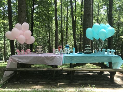 Garden Gender Reveal Party Ideas, Gender Reveal Ideas For Party Outdoors, Gender Reveal Ideas At Park, Gender Reveal Outdoor, Gender Reveal Ideas At A Park, Gender Reveal Park Ideas, Gender Reveal Outdoor Decorations, Gender Reveal At Park Party Ideas, Gender Reveal Ideas For Party Decoration Outdoor