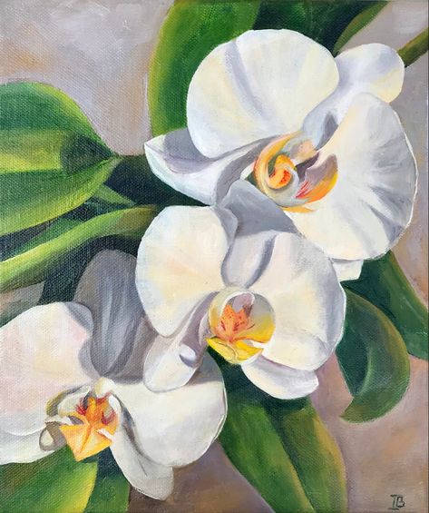 White orchids oil painting painted from nature by artist Irina Biunger White Orchids Painting, Orchid Artwork, Orchids Painting, Art Folio, Chalk Pastel, Still Life Oil Painting, Tropical Art, Oil Painting Flowers, White Orchids