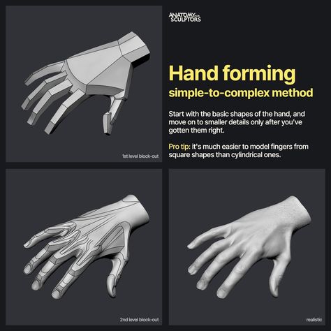 ArtStation - Hand forming Anatomy Books For Artists, Anatomy For Sculptors, Zbrush Anatomy, Hand Anatomy, 3d Anatomy, Sculpting Tutorials, Man Anatomy, Anatomy Sculpture, Adding Details