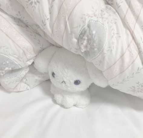 Stuffed Animal, Teddy Bear, Bed, White