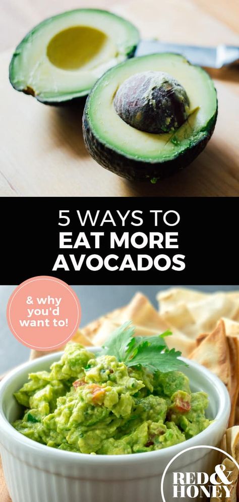 Avocados are wildly popular for beauty hacks, but they aren’t just for your skin and hair. Your nutrition could benefit from including avocadoes in your diet every day. Here are five quick and easy ways to boost your healthy eating from breakfast to dinner. #avocados #healthyeating #nutrition Ways To Eat Avocado, Weekday Recipes, Night Cravings, Avocado Benefits, Late Night Cravings, Summer Smoothies, Healthy Side Dish, Fodmap Recipes, Avocado Recipes