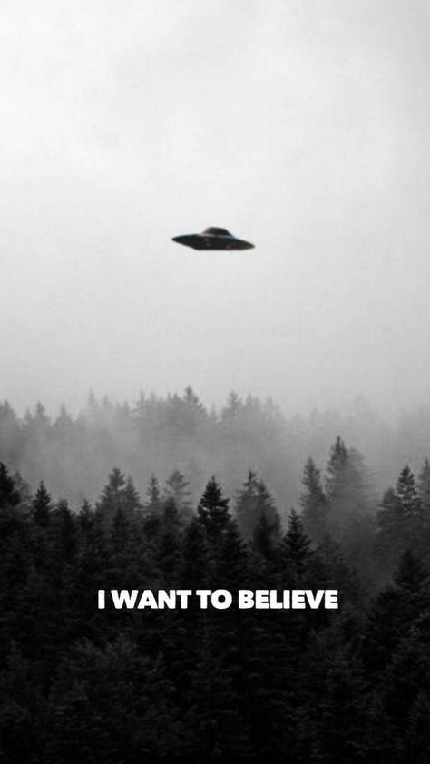 Download I want to believe wallpaper by Gid5th - e4 - Free on ZEDGE™ now. Browse millions of popular aliens Wallpapers and Ringtones on Zedge and personalize your phone to suit you. Browse our content now and free your phone Cryptid Wallpaper Iphone, Cryptid Background, Cryptid Aesthetic Wallpaper, I Want To Believe Wallpaper, Cryptidcore Wallpaper, Cryptid Wallpaper, X Files Wallpaper, Believe Wallpaper, X Files Mulder