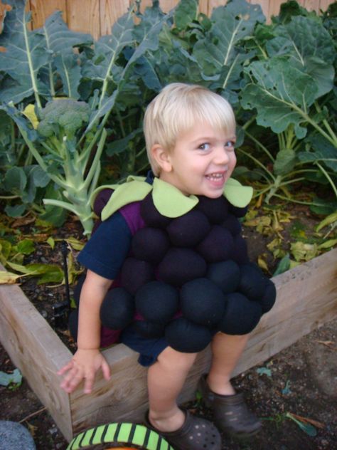 The blackberry costume I made for my son. Blueberry Costume, Handmade Costumes, Diy Toddler, Halloween 2022, Halloween 2019, Baby Costumes, Diy Costumes, It's Fall, Halloween Ideas