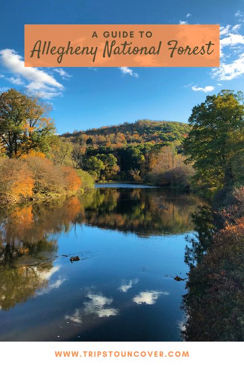 A Guide to the Allegheny National Forest | Trips to Uncover | Travel Blog Allegheny National Forest Pennsylvania, Map Of North America, Allegheny National Forest, Allegheny Mountains, Gertrude Stein, Forest Camp, Pennsylvania Travel, Road Trip Map, Travel America