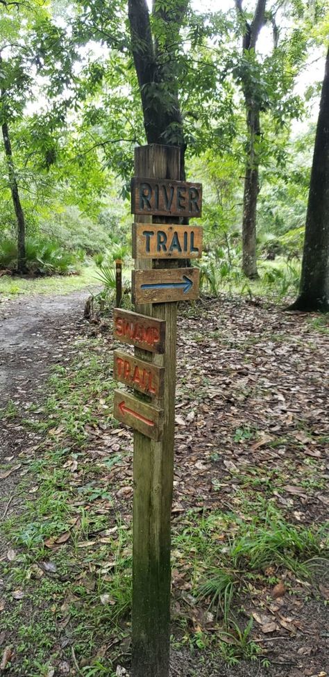 While Silver Springs State Park has miles upon miles of trails split between many different paths, we’re partial to what is nicknamed the Silver River Trail — a combination of the Swamp Trail and River Trail. Nature Trail Signs, Bioluminescent Plankton, Outdoor Bridges, Florida Trail, Park Signage, River Retreat, Shade Tolerant Plants, Wooden Carved Signs, Trail Signs