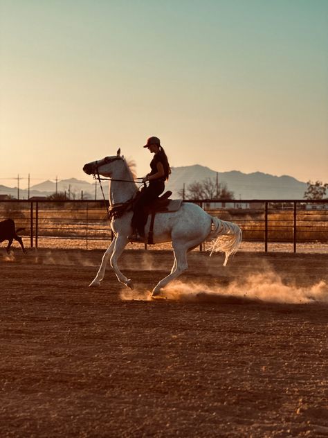 Mackenzie Core, Cowgirl Core, Aesthetic Western, Horse Riding Quotes, Cowgirl Pictures, Riding Quotes, White Lighting, Country Stuff, Rodeo Life