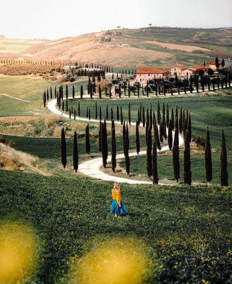 9 Best Things To Do in Italy · Salt in our Hair Gorgeous Places, Tuscany Travel, Things To Do In Italy, Best Honeymoon Destinations, Toscana Italia, Siena Italy, Beautiful Chaos, Italy Itinerary, Scenic Roads